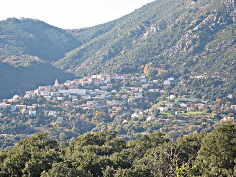 Villa Angelini Valle-di-Campoloro Екстер'єр фото